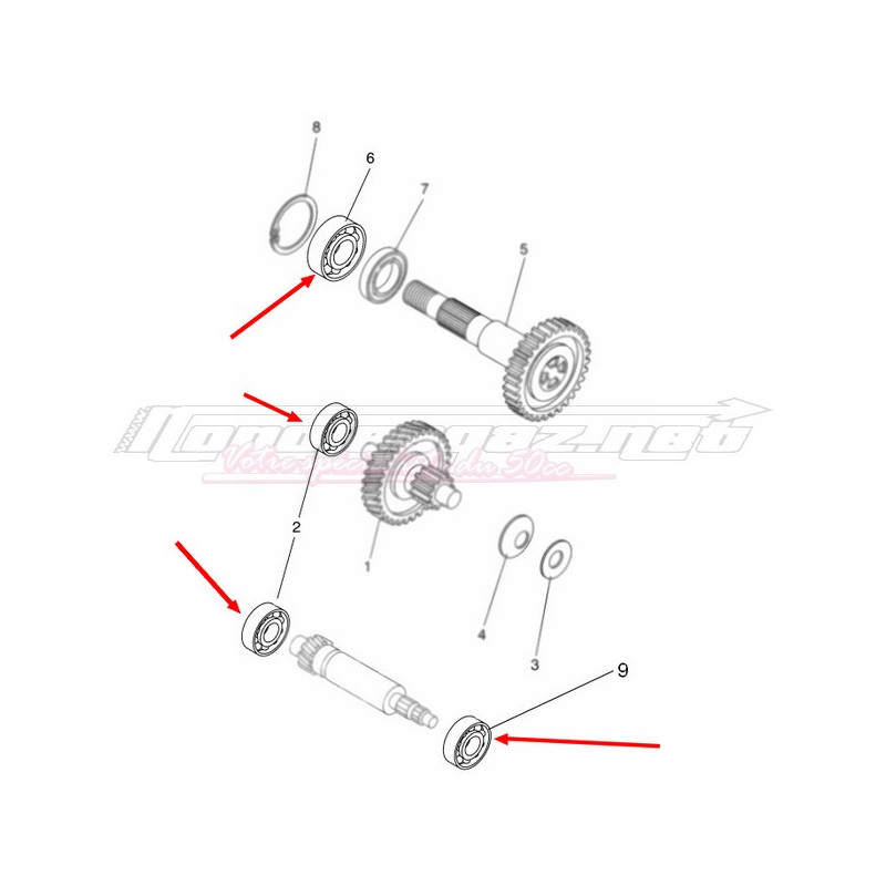 Kit Roulements Transmission Tpi Booster Nitro