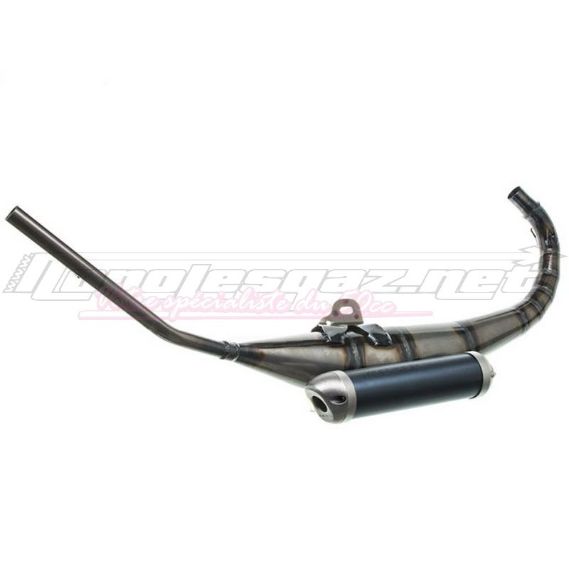 Echappement Malossi MHR GP Aprilia RS 99-05